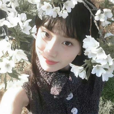 龙族海报